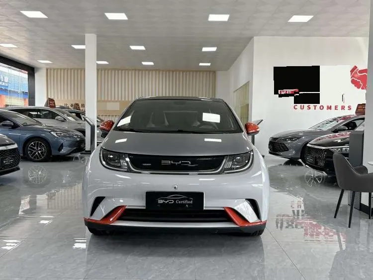 BYD 2021 Dolphin 405km Fashion Edition Automatic 2