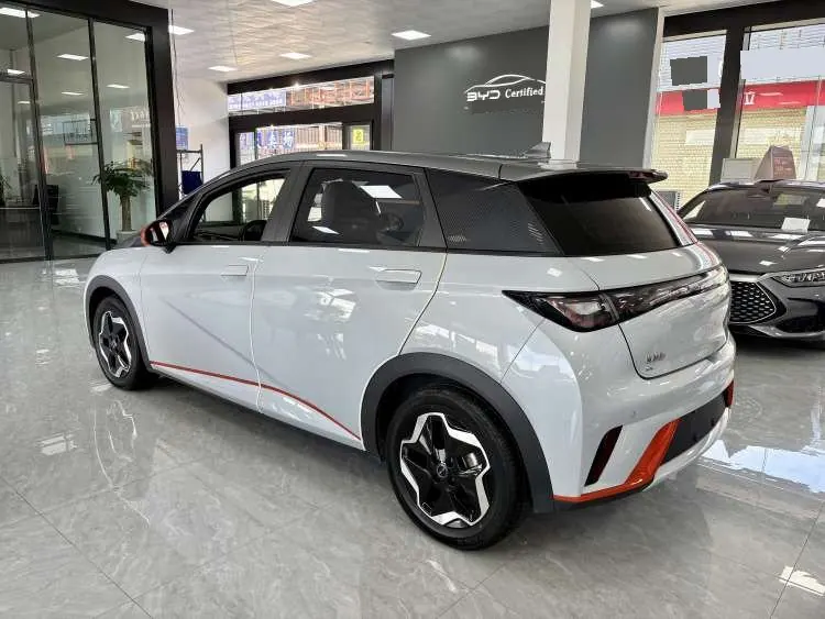 BYD 2021 Dolphin 405km Fashion Edition Automatic 4