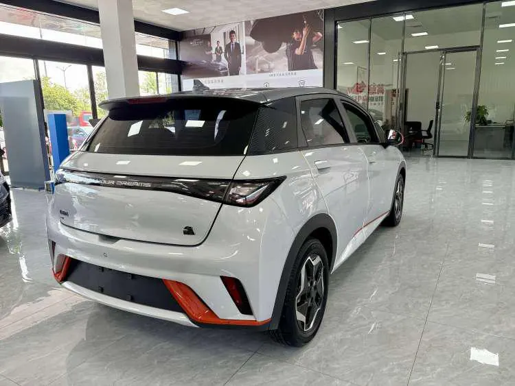 BYD 2021 Dolphin 405km Fashion Edition Automatic 5