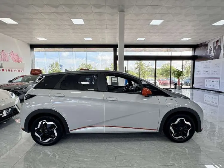 BYD 2021 Dolphin 405km Fashion Edition Automatic 6