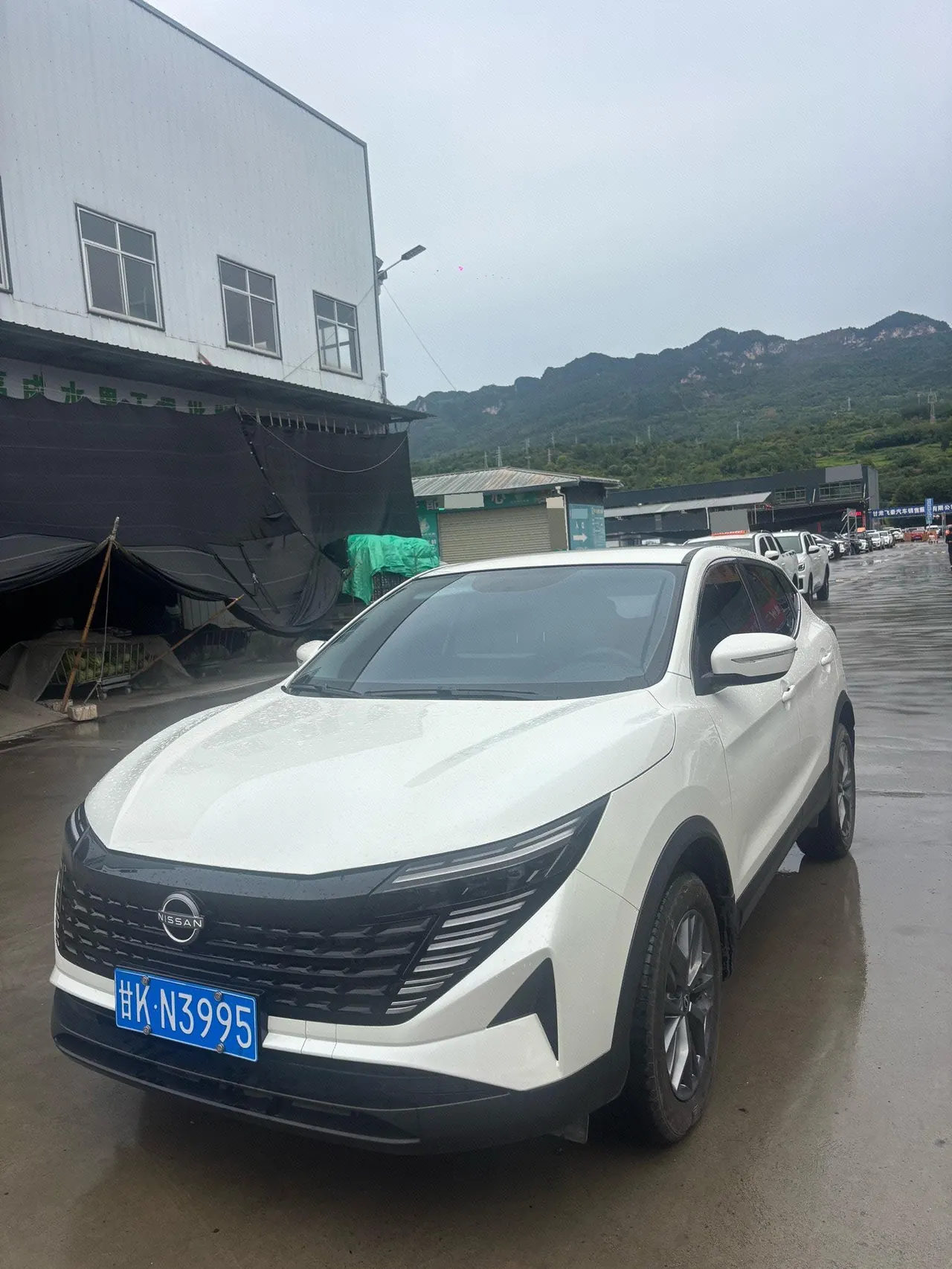 打开图片灯箱:Nissan 2025 Xiao Ke Honor 2.0 Stepless Honor XV True Edition Automatic Gear