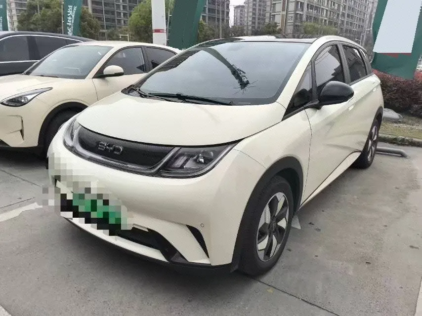 Open image lightbox: BYD 2024 Dolphin Glory Edition 420km Fashion Edition Automatic Gear
