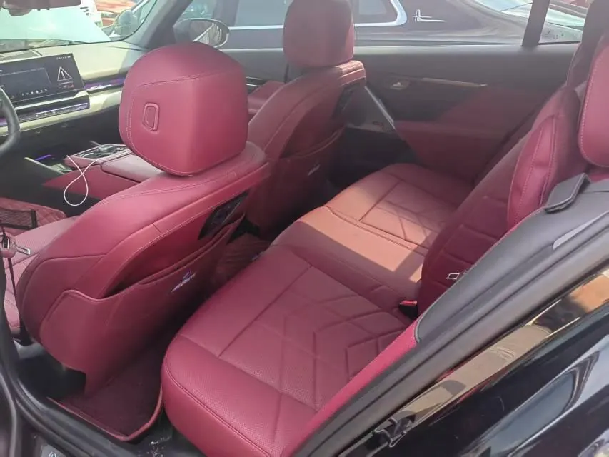 BMW 5 Series 2025 530Li 48V 2.0T Leading M Sports Suit Automatic Gear 5