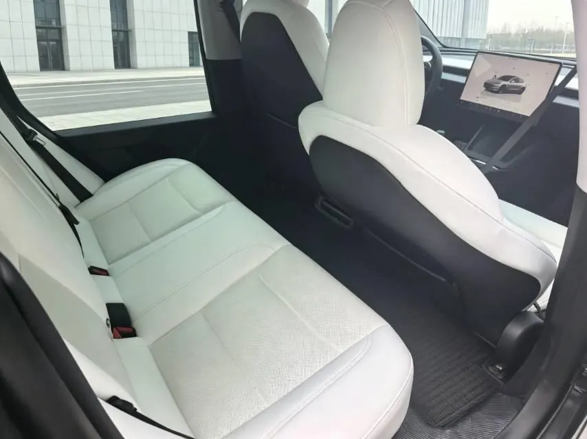 Tesla 2023 Model 3 Rejuvenation Edition Rear Wheel Drive Automatic Transmission 4