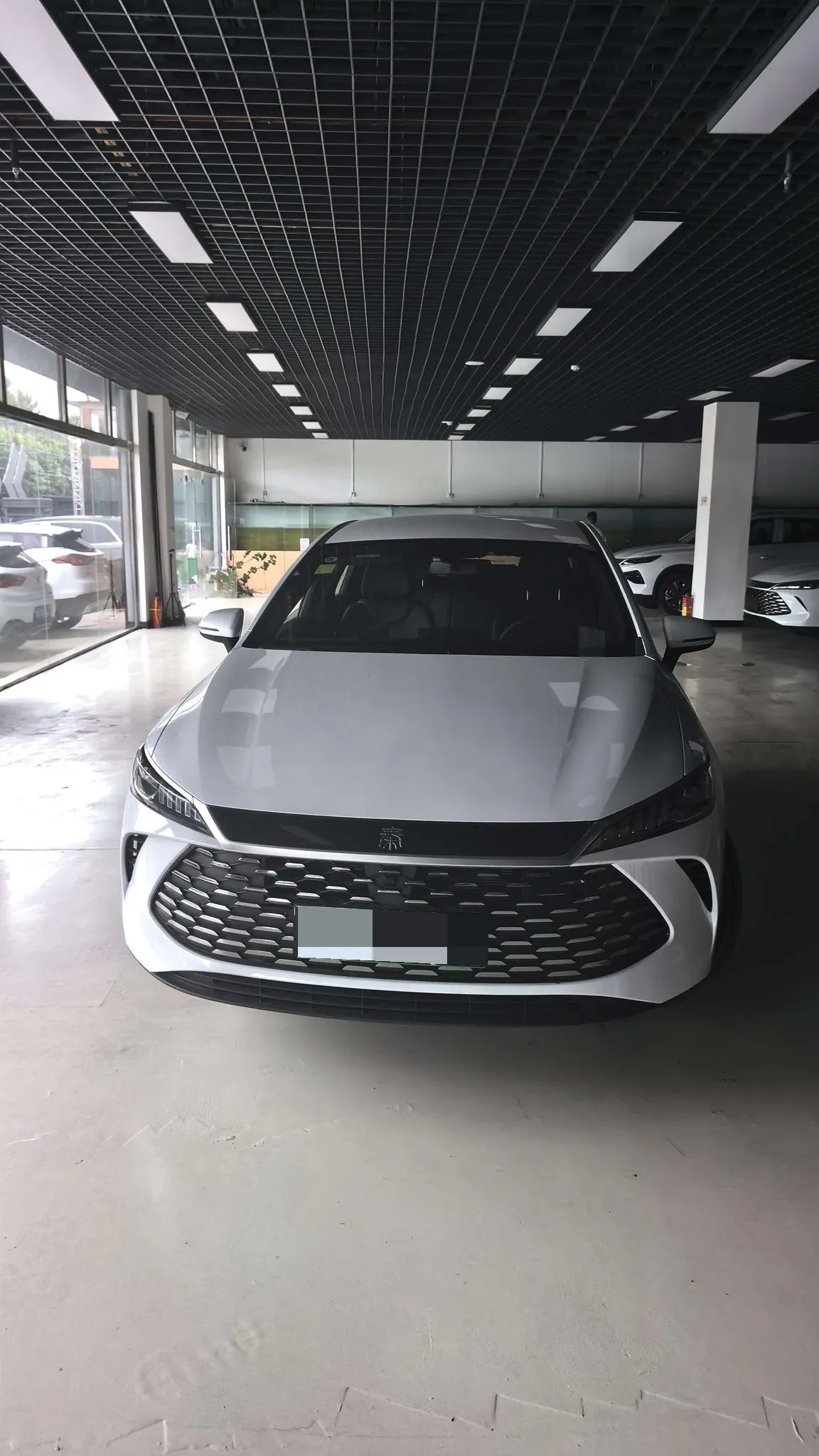 BYD 2026 Qin PLUS DM-i 1.5 CVT 128km Entry-Level Automatic 2