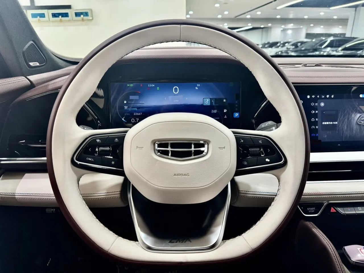 Geely 2021 XingyueL (Monjaro) 2.0TD EVO Two-Drive Flagship Automatic Gear 7