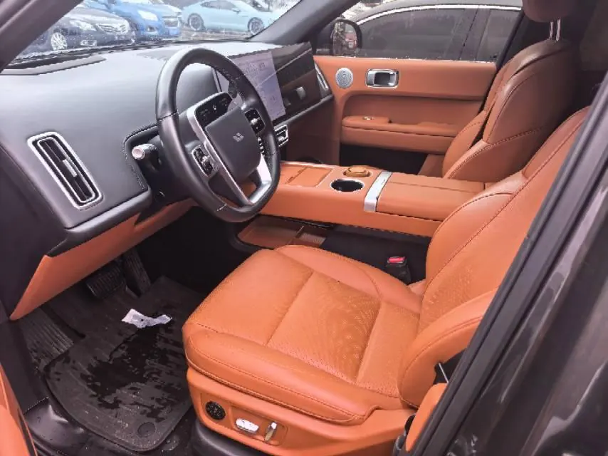 Li 2024 L6 Pro automatic gear 3