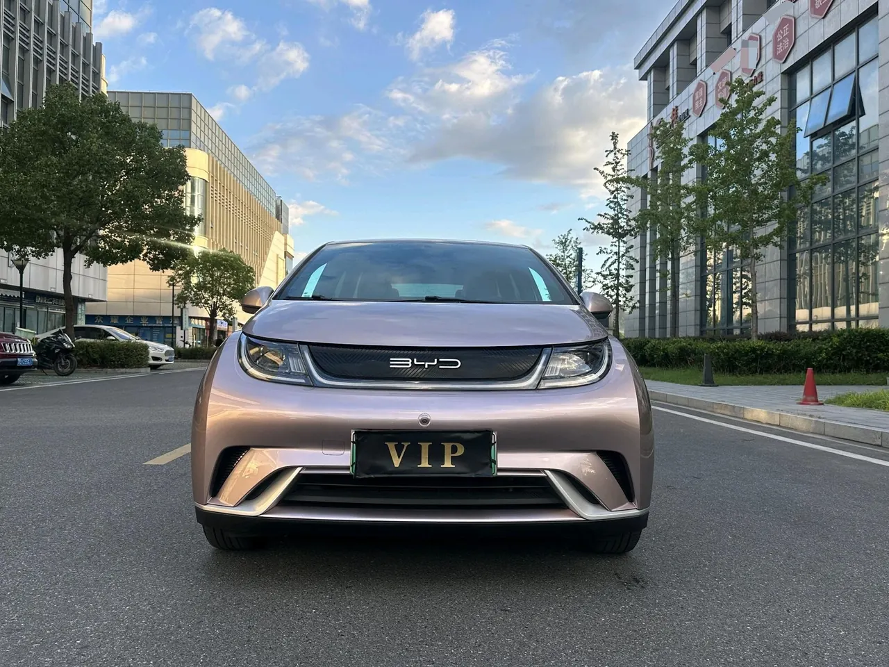 BYD 2021 Dolphins 405km Free Edition Automatic 2