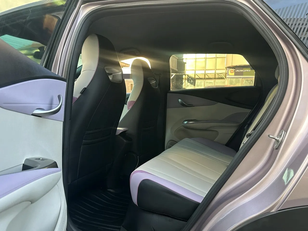 BYD 2021 Dolphins 405km Free Edition Automatic 4