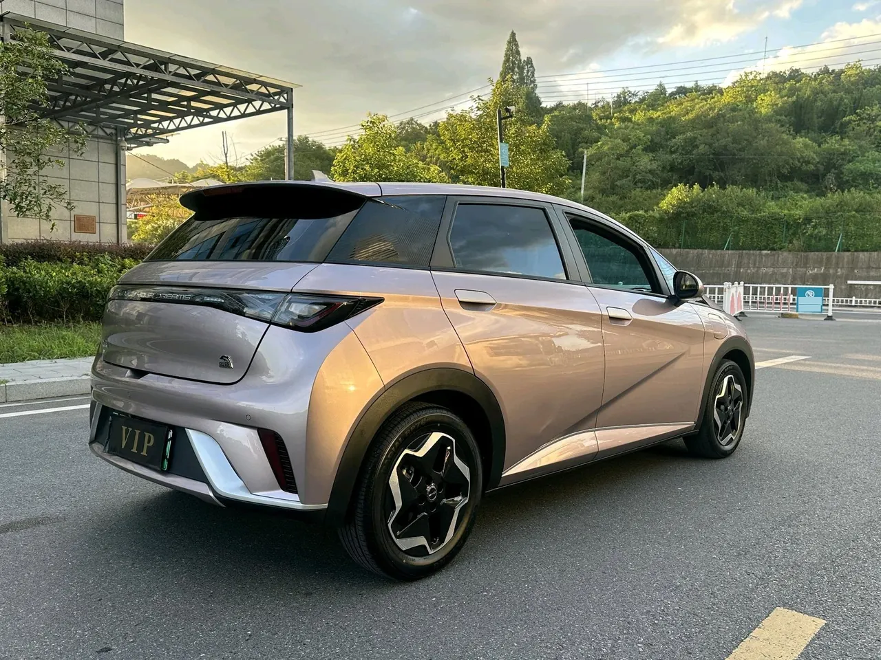 BYD 2021 Dolphins 405km Free Edition Automatic 7