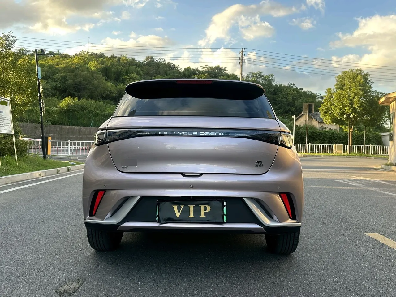 BYD 2021 Dolphins 405km Free Edition Automatic 8