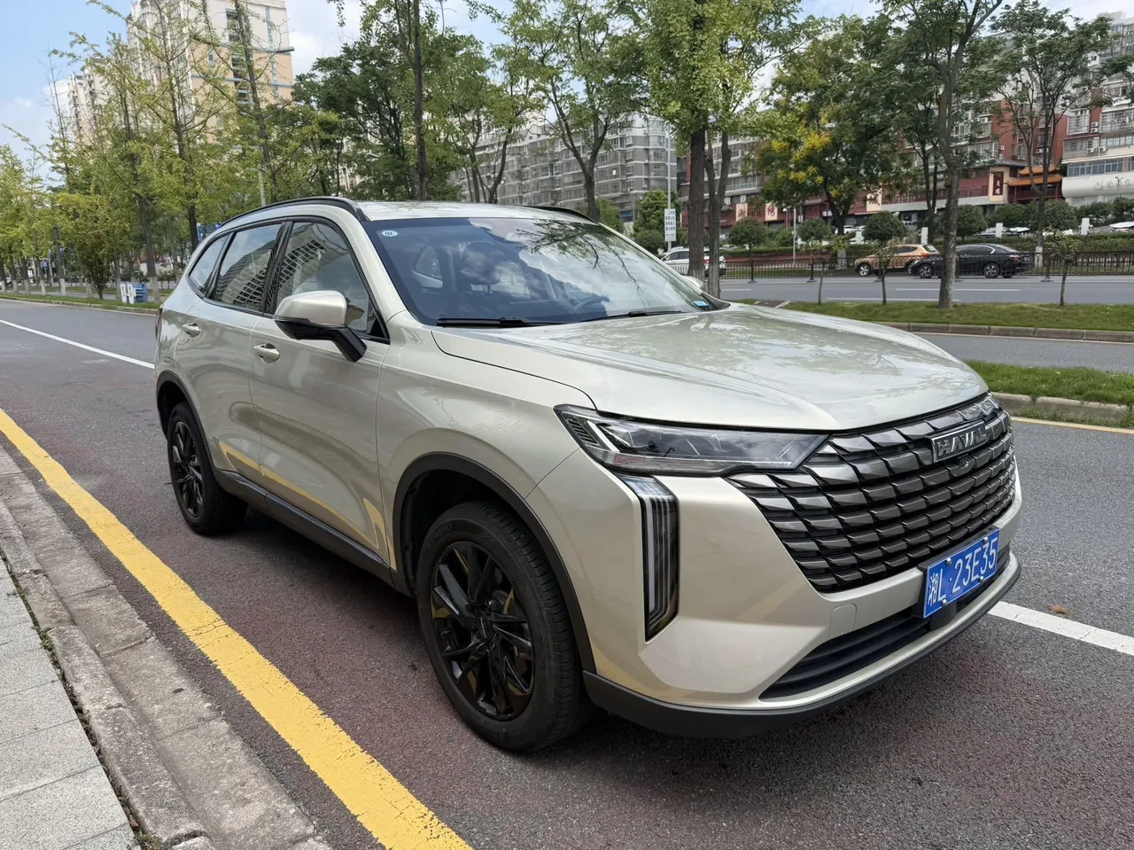 Haval 2024 H6 1.5T Two-Drive Ultra Auto 4