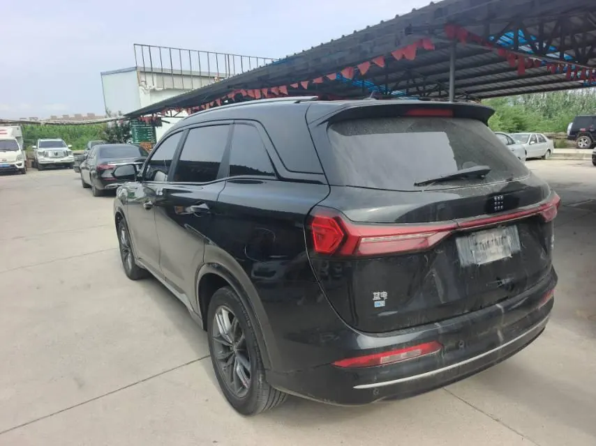 LanDian 2023 LanDian E5 1.5 stepless DE-i 100KM exclusive 7-seat automatic gear 4