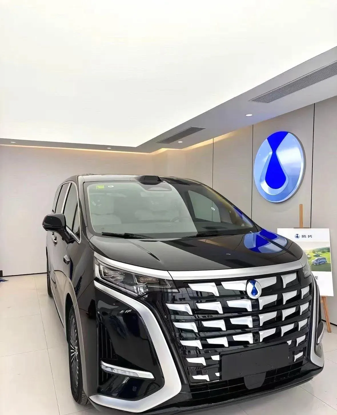 Denza 2026 Denza D9 DM-i 1.5T stepless four-wheel drive flash charging noble automatic gear 2