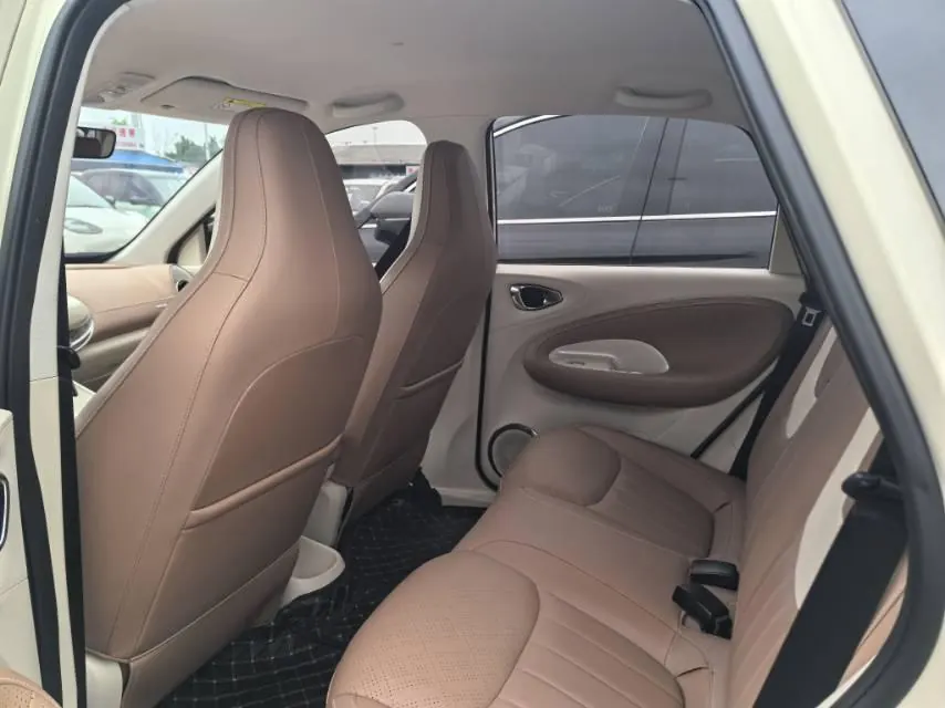 WuLing 2025 Plantronics 333km Enjoy Automatic Gear 4
