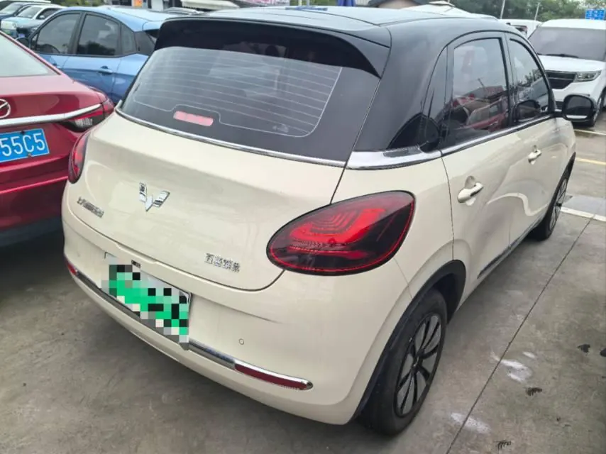 WuLing 2025 Plantronics 333km Enjoy Automatic Gear 5