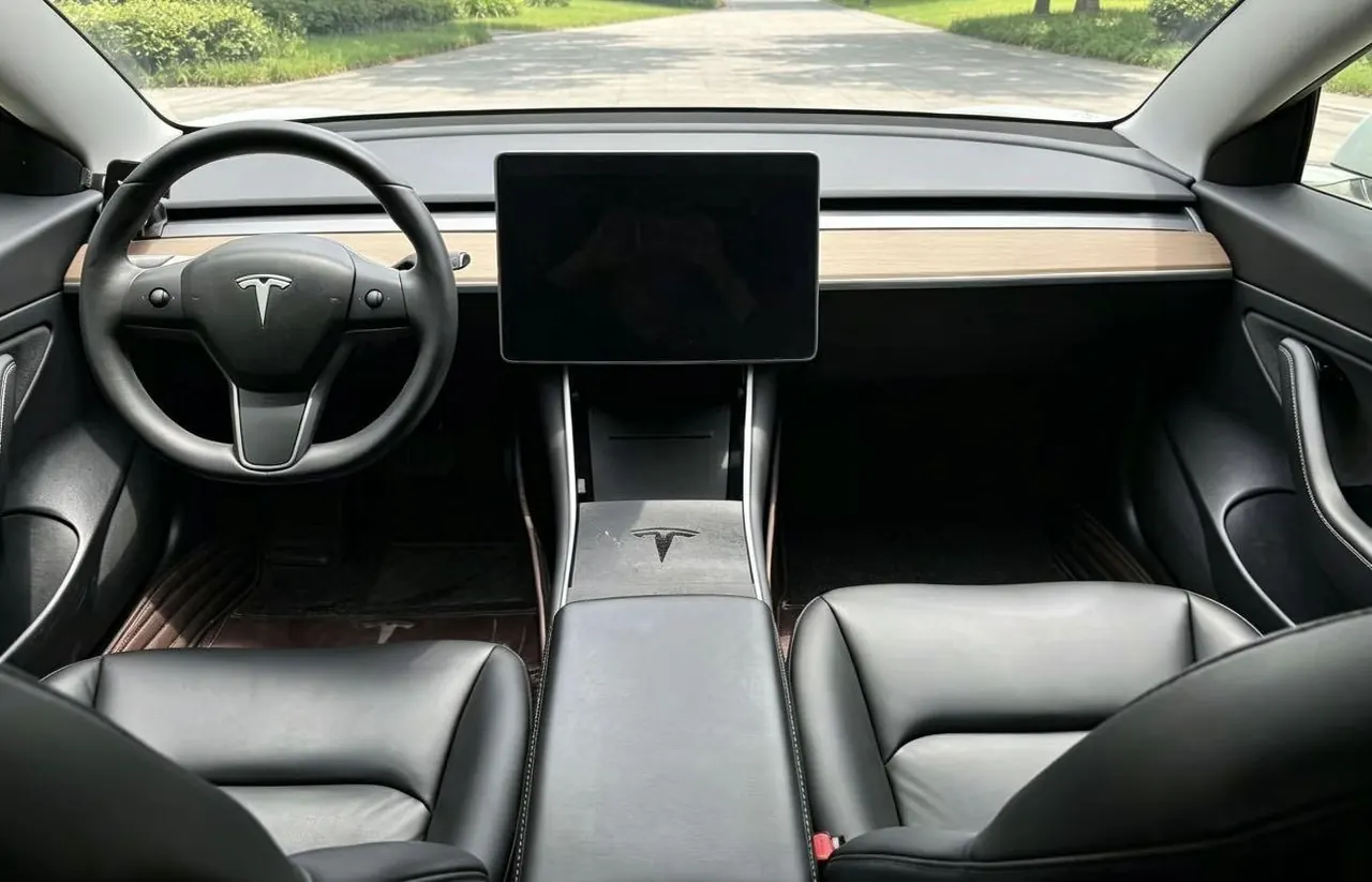 Tesla 2020 Model 3 Standard Endurance Rear Drive Upgraded Automatic Gear 4