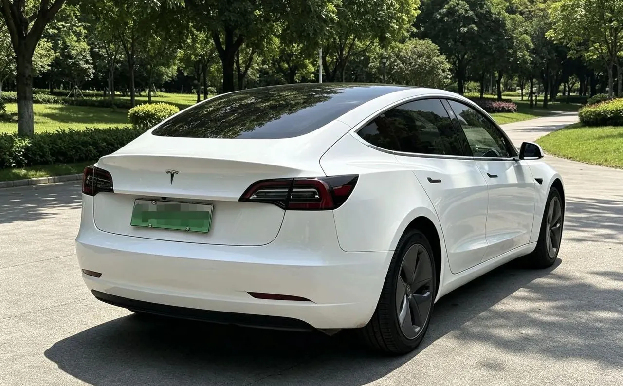 Tesla 2020 Model 3 Standard Endurance Rear Drive Upgraded Automatic Gear 5