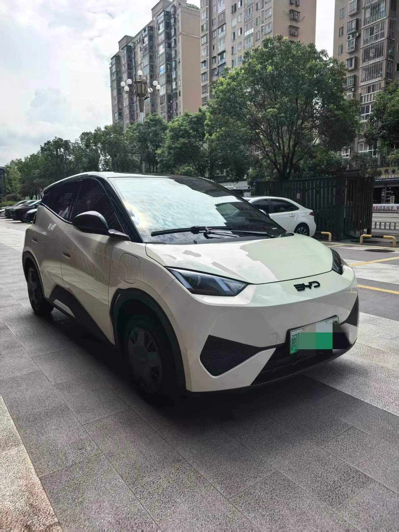 BYD 2025 seagulls 305km dynamic version of automatic gear 2