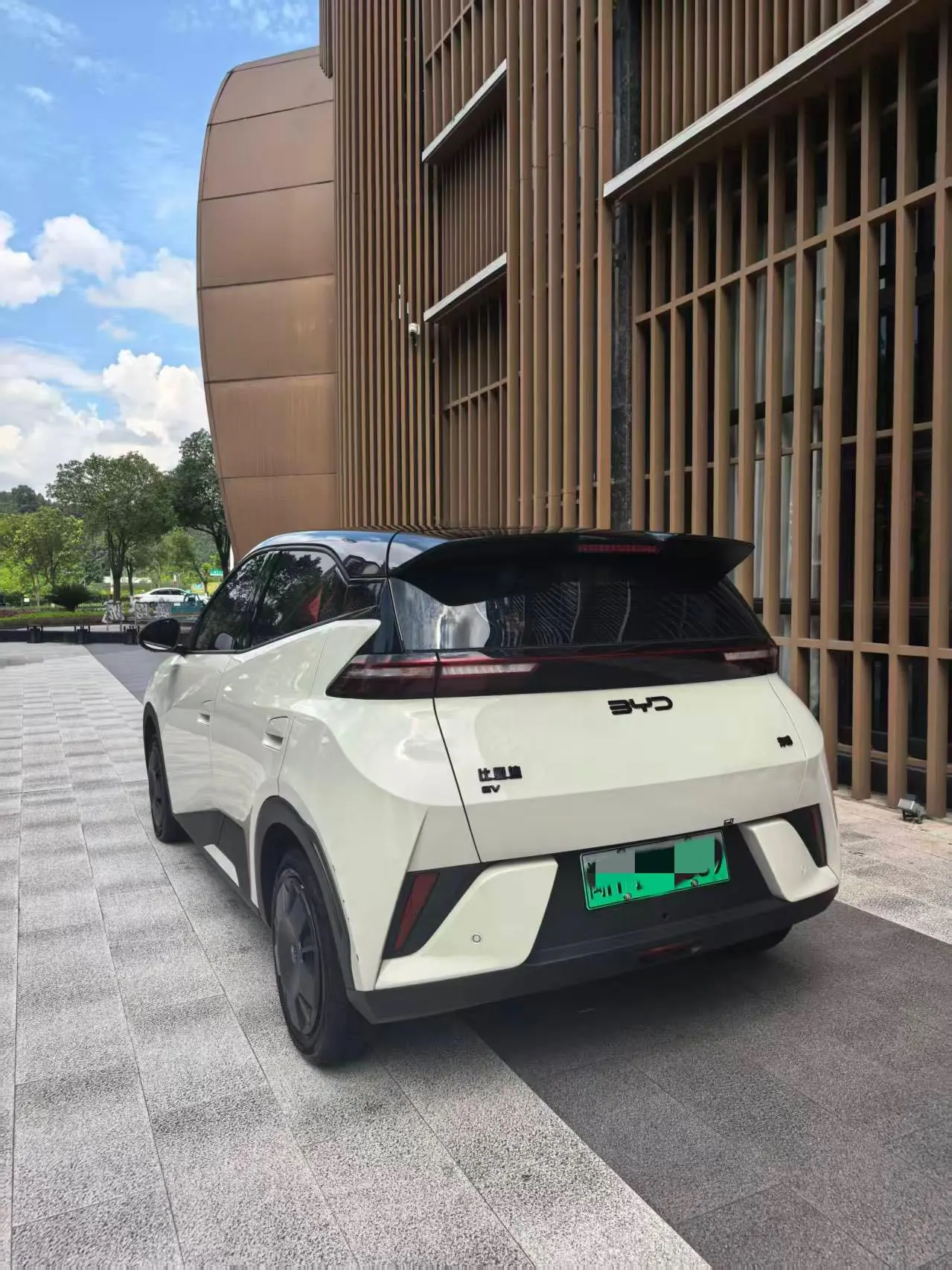 BYD 2025 seagulls 305km dynamic version of automatic gear 9