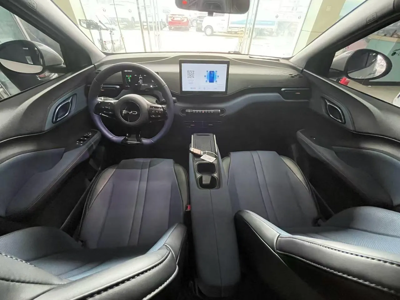 BYD 2025 seagulls 305km free version automatic gear 5