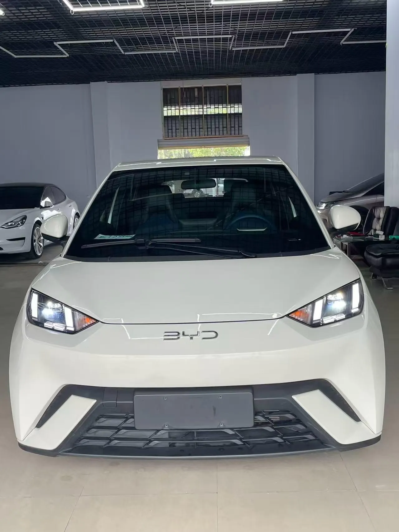 BYD 2025 seagulls 305km free version automatic gear 9