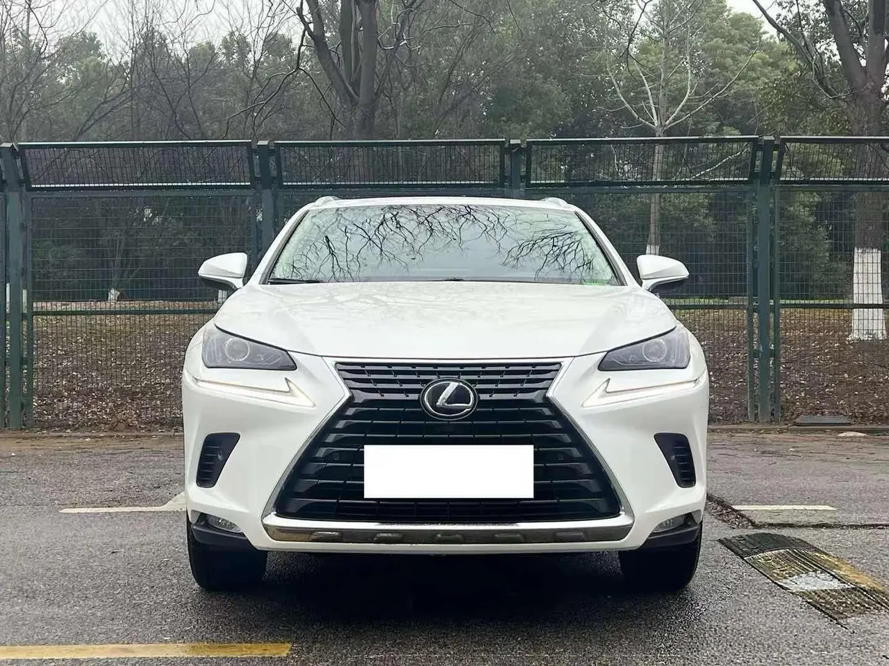 Lexus NX (Imported) 2020 NX300h 2.5 Stepless Front Crossover Edition Automatic Gear 2