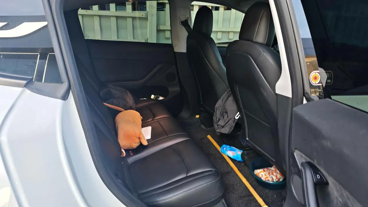 Tesla 2021 Model Y Standard Endurance Rear Drive Automatic Gear 6