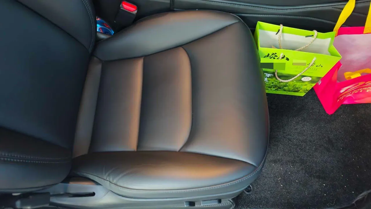 Tesla 2021 Model Y Standard Endurance Rear Drive Automatic Gear 9