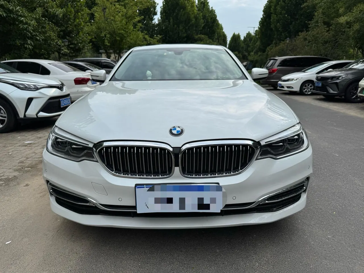 BMW 5 Series 2020 530Li 2.0T Leading Luxury Suit Automatic Gear 2