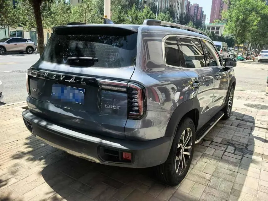 Haval 2021 Big Dogs 1.5T Border Animal Husbandry Wangcai Edition Automatic Gear 3