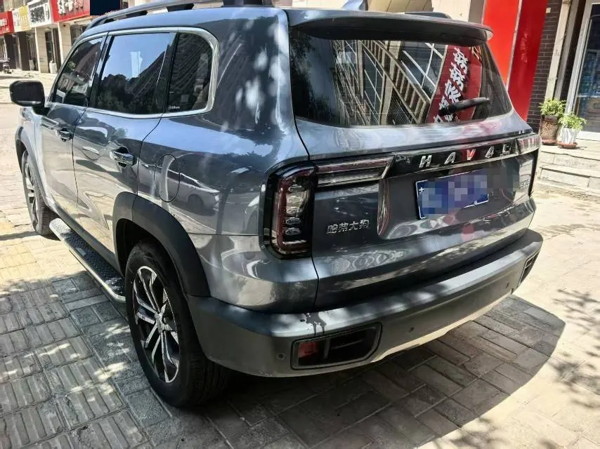 Haval 2021 Big Dogs 1.5T Border Animal Husbandry Wangcai Edition Automatic Gear 4