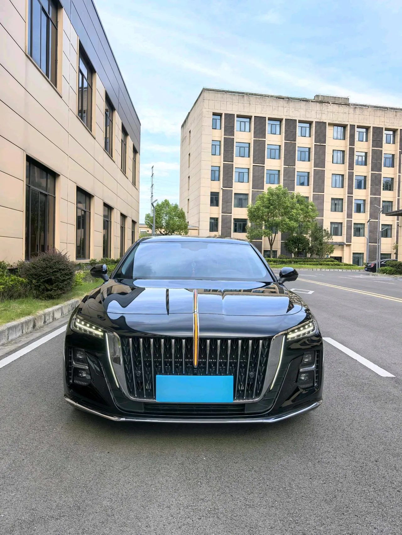 HongQi 2025 H5 1.5T Flag Rhyme 500000 Commemorative Automatic Gear 2