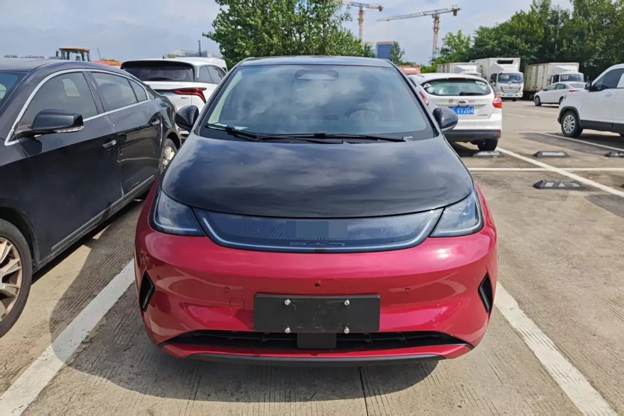 BYD 2025 Dolphin Smart Driving 410km Fashion Automatic Gear 2