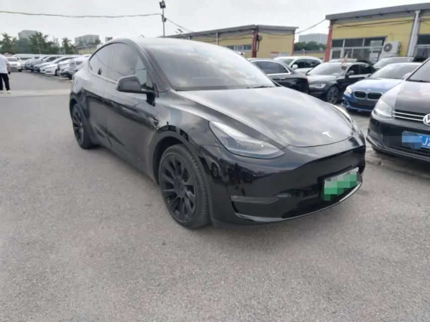 Tesla 2021 Model Y Standard Endurance Rear Drive Automatic Gear 2
