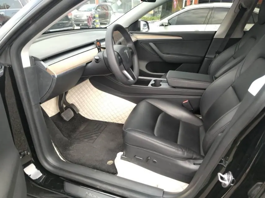 Tesla 2021 Model Y Standard Endurance Rear Drive Automatic Gear 3