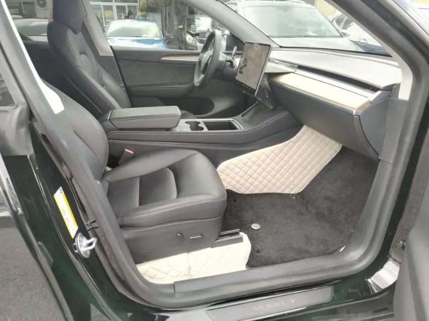 Tesla 2021 Model Y Standard Endurance Rear Drive Automatic Gear 5