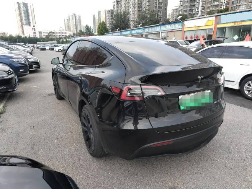 Tesla 2021 Model Y Standard Endurance Rear Drive Automatic Gear 7
