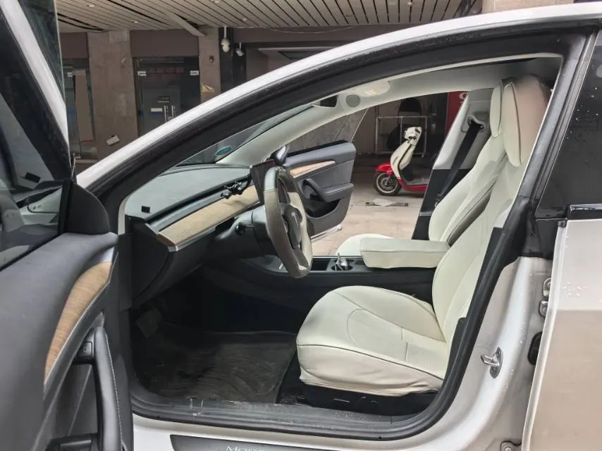 Tesla 2021 Model 3 Standard Endurance Rear Drive Upgraded Automatic Gear 4