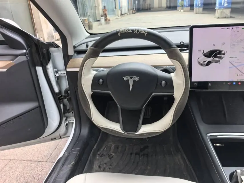 Tesla 2021 Model 3 Standard Endurance Rear Drive Upgraded Automatic Gear 5