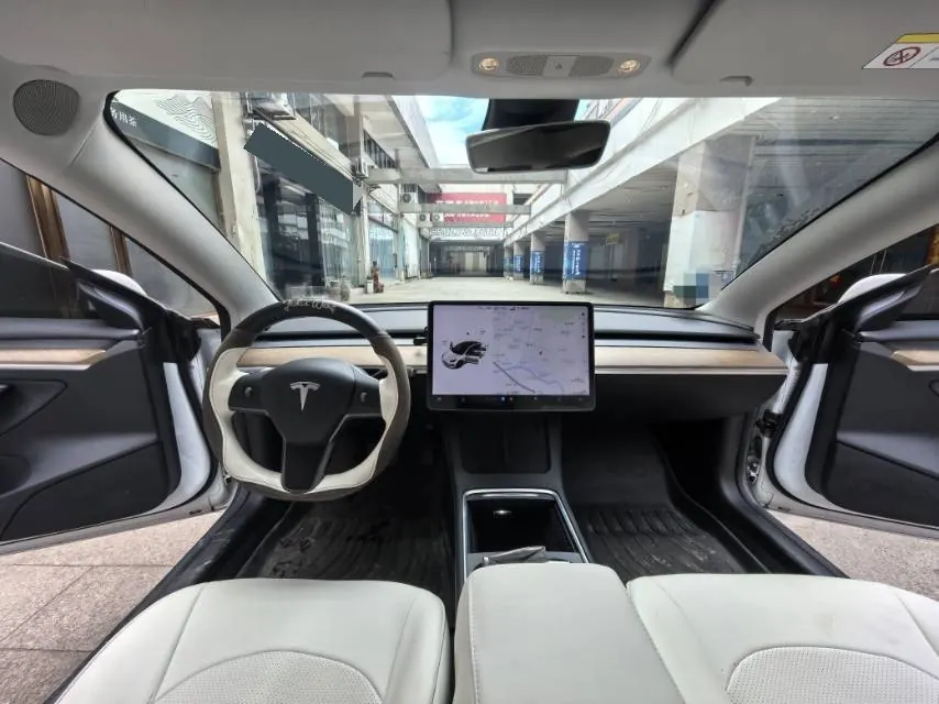 Tesla 2021 Model 3 Standard Endurance Rear Drive Upgraded Automatic Gear 6