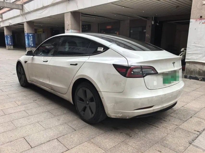 Tesla 2021 Model 3 Standard Endurance Rear Drive Upgraded Automatic Gear 7