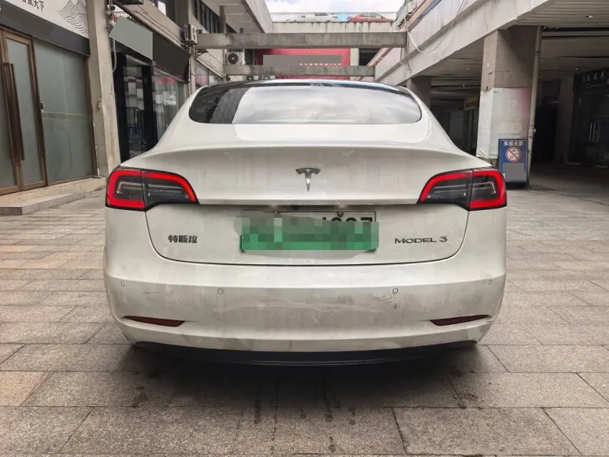 Tesla 2021 Model 3 Standard Endurance Rear Drive Upgraded Automatic Gear 8