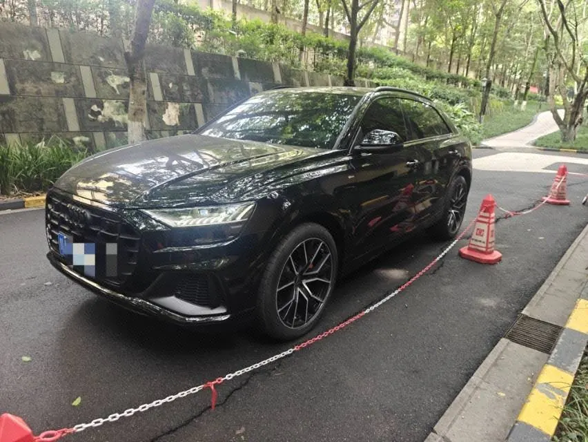打开图片灯箱:Audi Q8 (Imported) 2022 Q8 48V 3.0TFSI 55TFSI Ice and Snow Sports Edition Automatic Gear