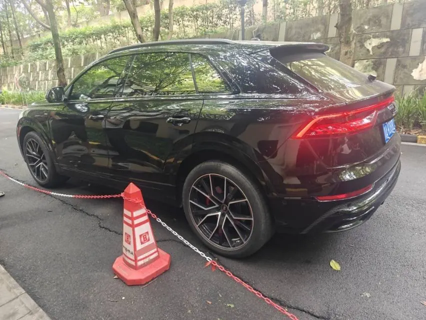 Audi Q8 (Imported) 2022 Q8 48V 3.0TFSI 55TFSI Ice and Snow Sports Edition Automatic Gear 8