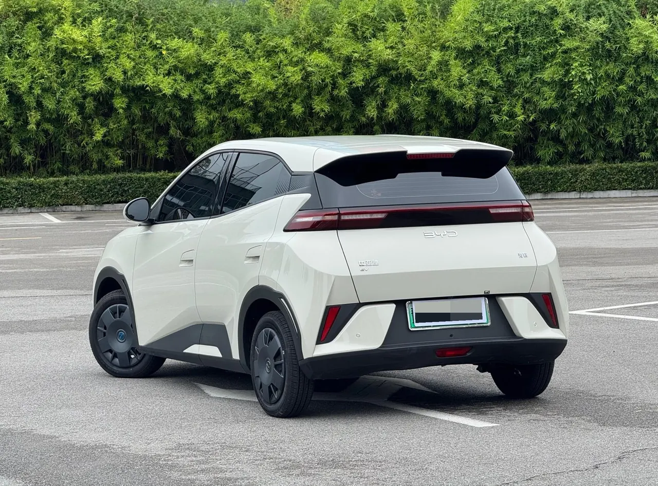 BYD 2025 seagulls 305km dynamic version of automatic gear 9