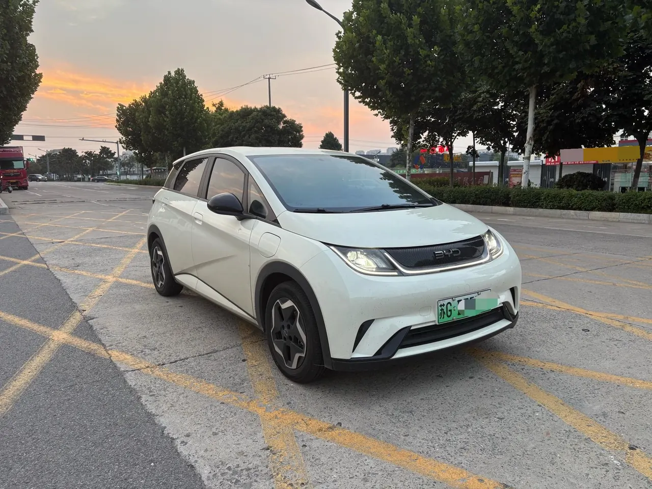 BYD 2024 Dolphin Glory Edition 302km Vital Edition Automatic Gear 6