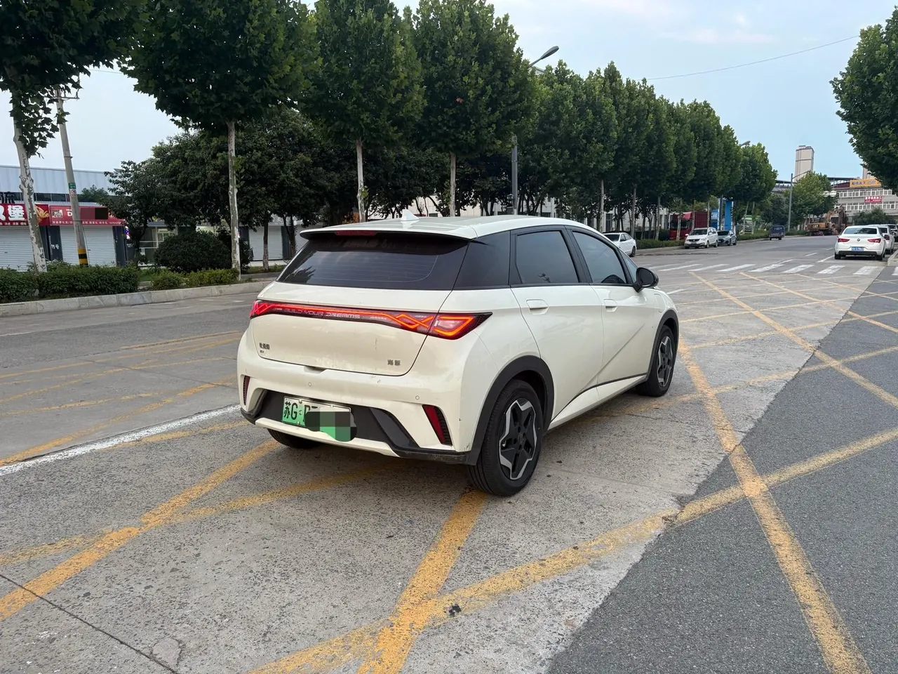 BYD 2024 Dolphin Glory Edition 302km Vital Edition Automatic Gear 7