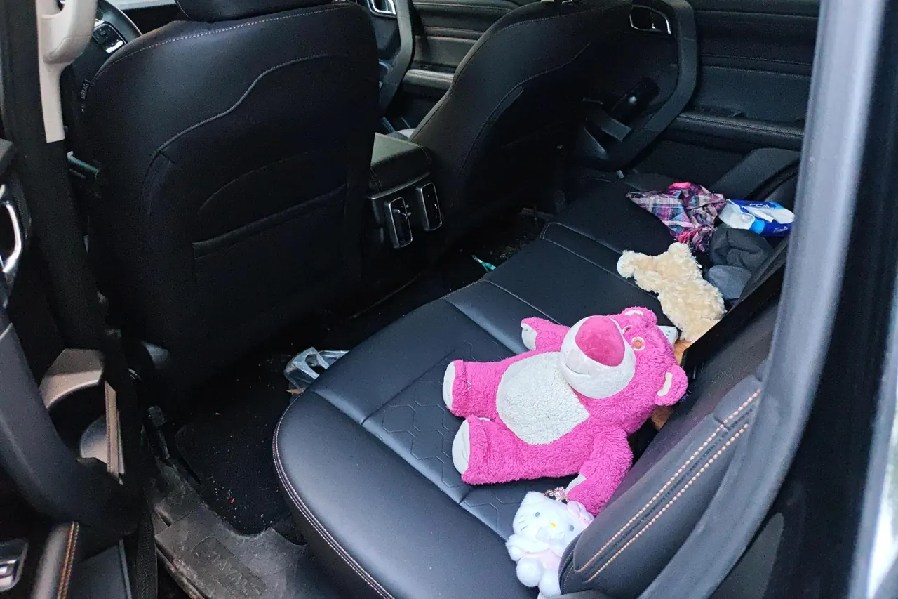Haval 2024 big dog 2.0T Chinese garden dog version automatic gear 10