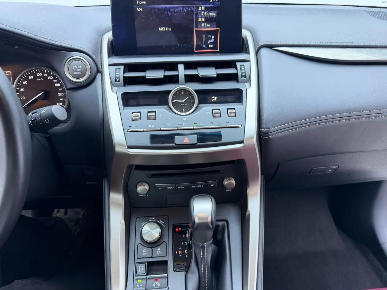 Lexus NX (Imported) 2020 NX200 2.0 Stepless Front Edition Automatic Gear 9